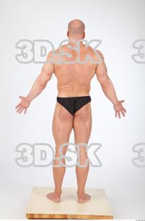 Body texture of Dale 0006